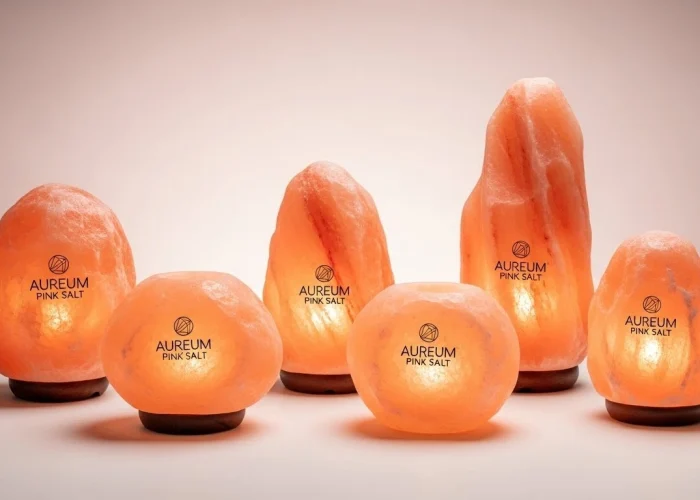 Whisk_48e70397516ef52a56747e29567c8474dr