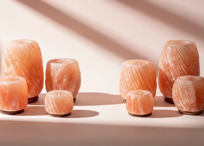 Whisk_b592f06259a761da37243cc775670411dr